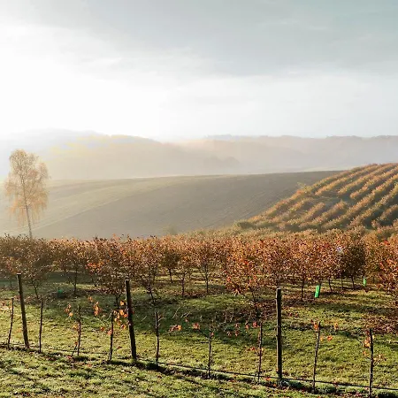 Jura Dla Ciebie By Interhome Сasa de vacaciones Cisowa