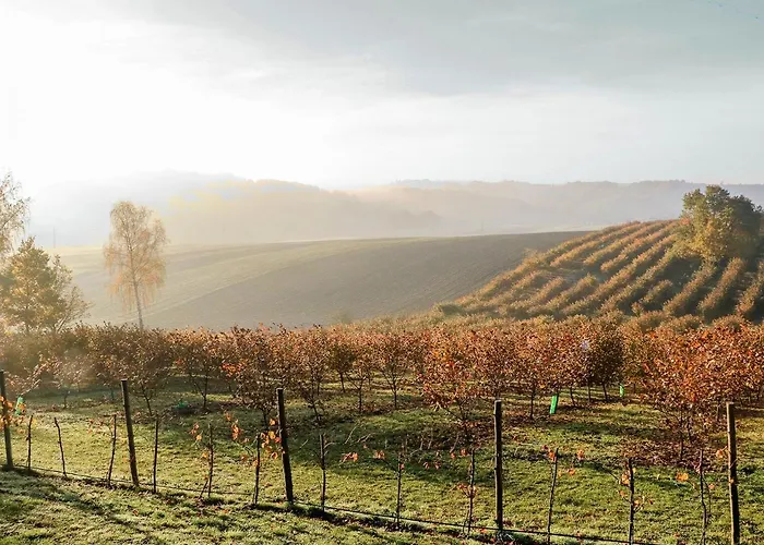 Jura Dla Ciebie By Interhome Tatil Evi Cisowa